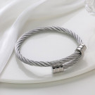 Браслет сталь CJJ23207