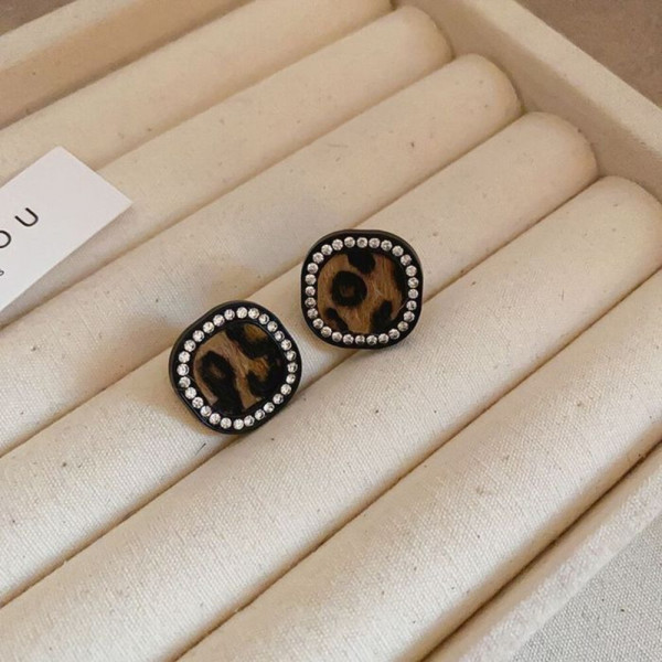 Серьги CJJ09801