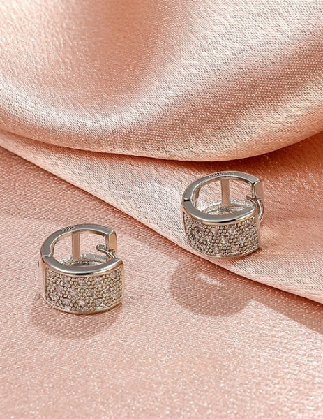 Ювелирные серьги S31840