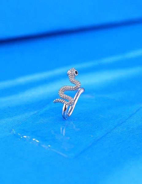 Пирсинг Z59272