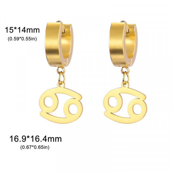 Серьги сталь CJL17234