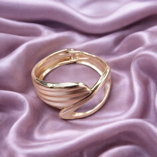 Браслет титановая сталь напыление золотом 1J12533CJJ