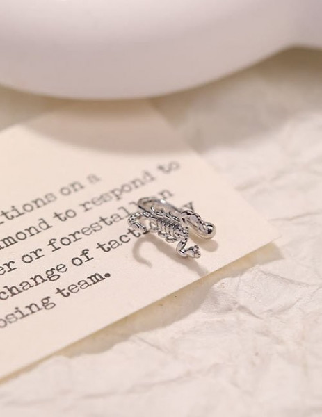 Пирсинг Z59363