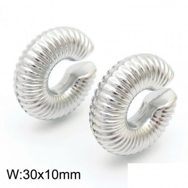 Серьги сталь CJC97016