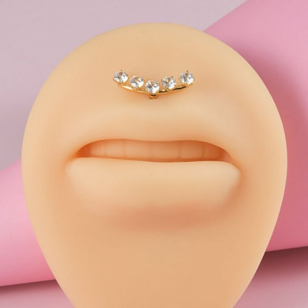 Пирсинг в уши CJC89100