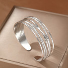 Браслет сталь CJM03777